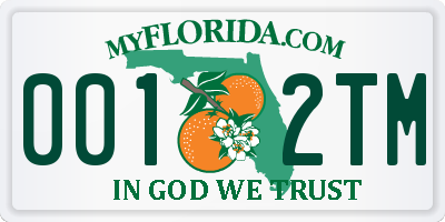 FL license plate 0012TM