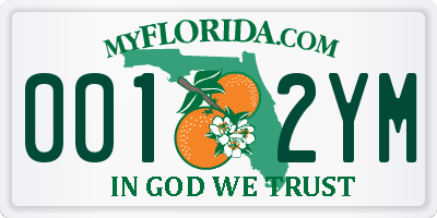 FL license plate 0012YM