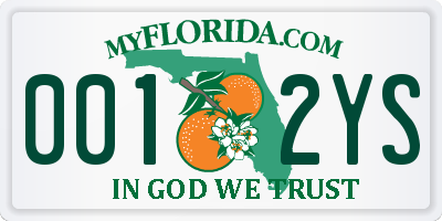 FL license plate 0012YS
