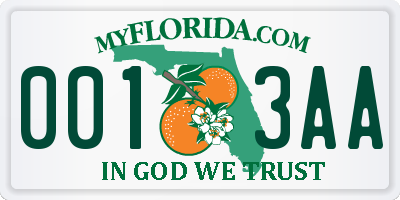 FL license plate 0013AA