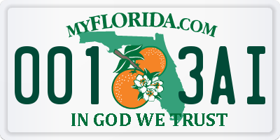 FL license plate 0013AI