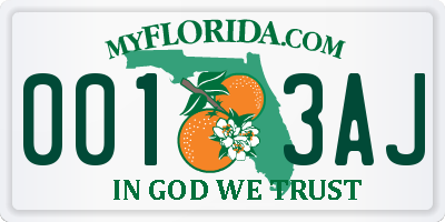FL license plate 0013AJ