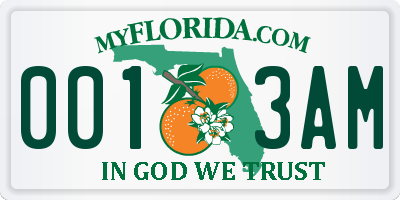 FL license plate 0013AM