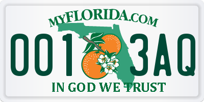 FL license plate 0013AQ