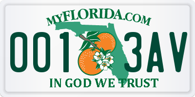 FL license plate 0013AV