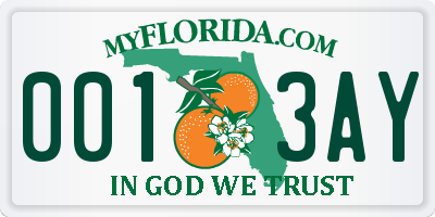 FL license plate 0013AY