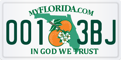 FL license plate 0013BJ