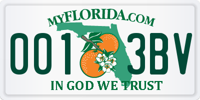 FL license plate 0013BV