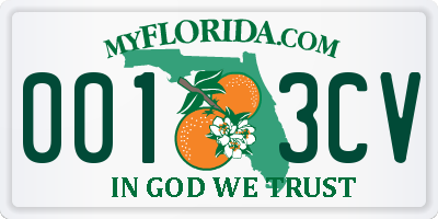 FL license plate 0013CV