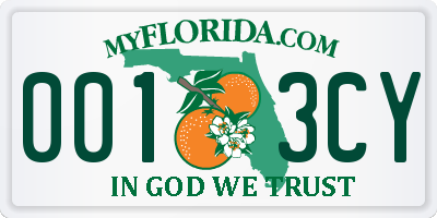 FL license plate 0013CY