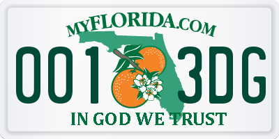 FL license plate 0013DG