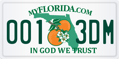 FL license plate 0013DM