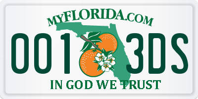 FL license plate 0013DS