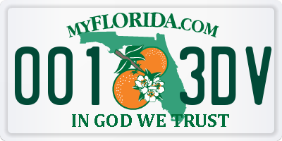 FL license plate 0013DV