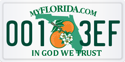 FL license plate 0013EF