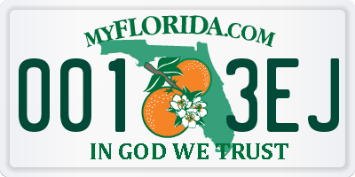 FL license plate 0013EJ