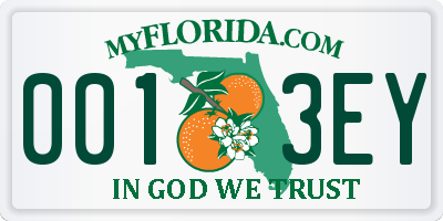 FL license plate 0013EY