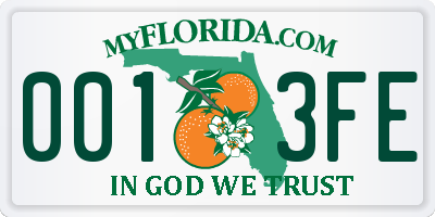 FL license plate 0013FE