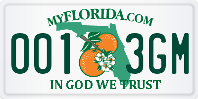 FL license plate 0013GM