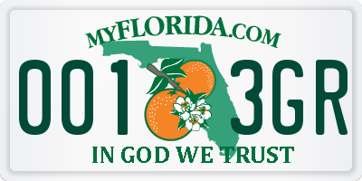 FL license plate 0013GR