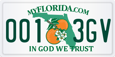 FL license plate 0013GV