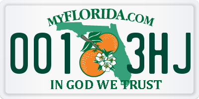 FL license plate 0013HJ