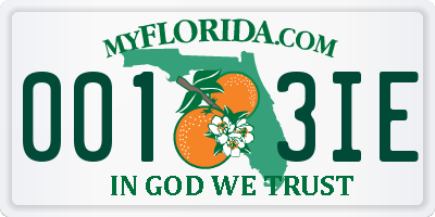 FL license plate 0013IE