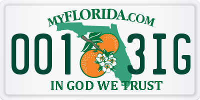 FL license plate 0013IG