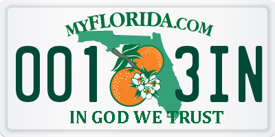 FL license plate 0013IN