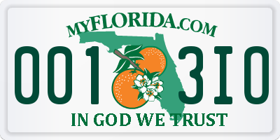 FL license plate 0013IO