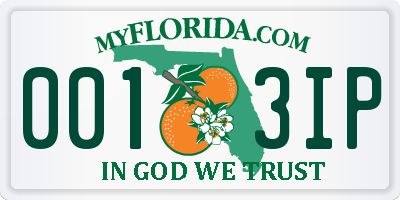 FL license plate 0013IP