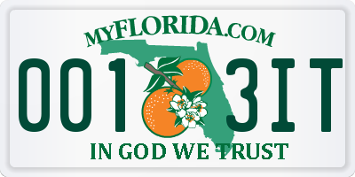 FL license plate 0013IT