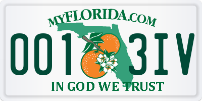 FL license plate 0013IV