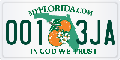 FL license plate 0013JA