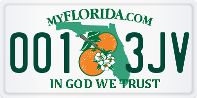 FL license plate 0013JV