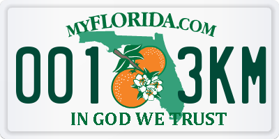 FL license plate 0013KM