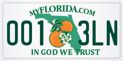 FL license plate 0013LN