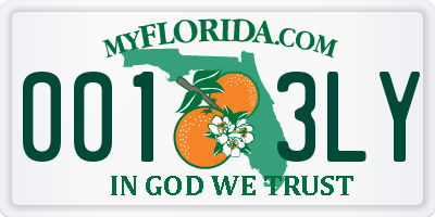 FL license plate 0013LY