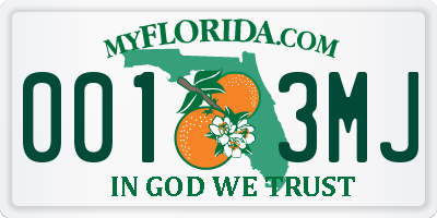 FL license plate 0013MJ