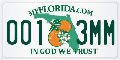 FL license plate 0013MM