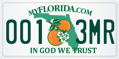 FL license plate 0013MR