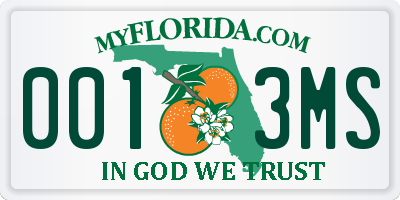 FL license plate 0013MS