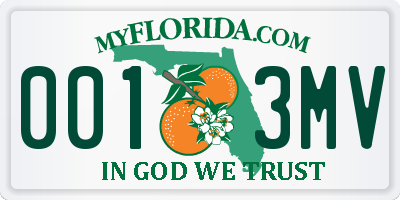 FL license plate 0013MV