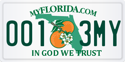 FL license plate 0013MY