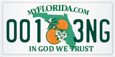 FL license plate 0013NG