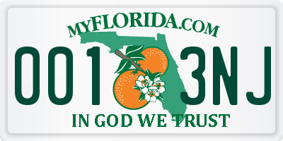 FL license plate 0013NJ