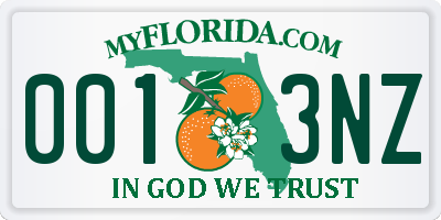 FL license plate 0013NZ