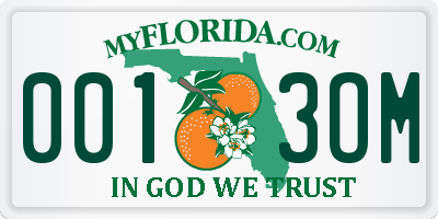 FL license plate 0013OM