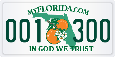 FL license plate 0013OO