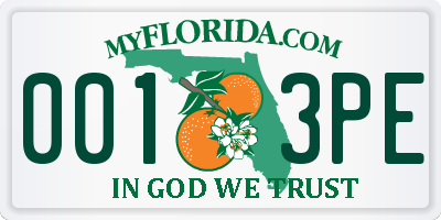 FL license plate 0013PE